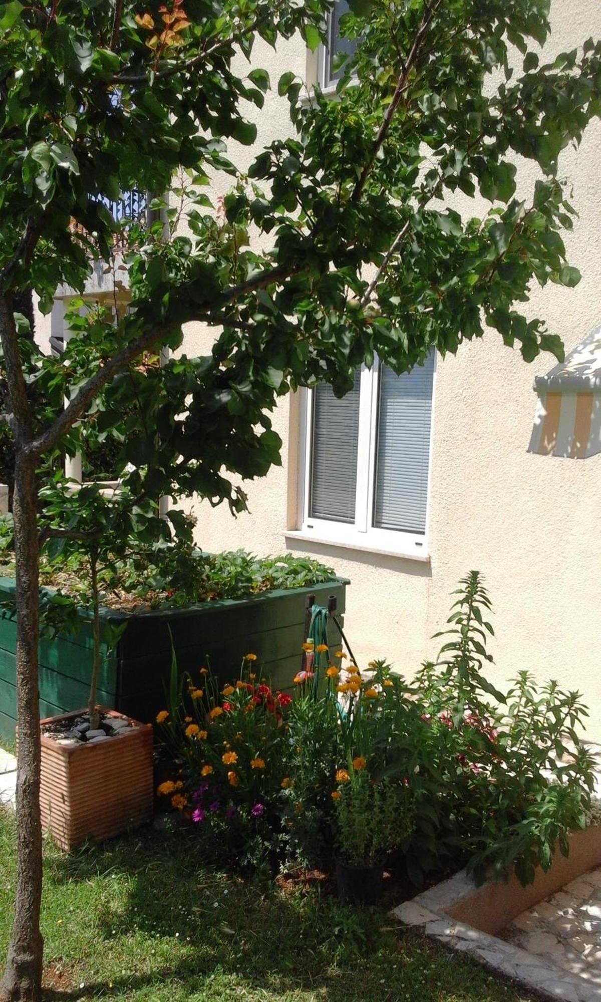 Apartment Laura Πόρετς Εξωτερικό φωτογραφία